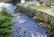 Bridge on North Yorkshire Moors Yorkshire England
