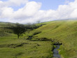 North Yorkshire Moors Yorkshire England