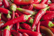 Red Hot Chilli Peppers Red Hot Chilli Peppers