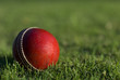 Red Cricket Ball On Grass Red Cricket Ball On Grass