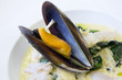 Plat cuisiné