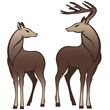 pair of deers