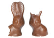 chocolate easter bunnies