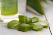 aloe vera juice with fresh leaves aloe vera juice with fresh leaves