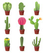 cactuses icons