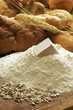 Yeast 酵母