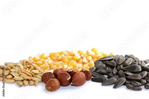 Photo: coloured seed mixture coloured seed mixture