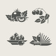 tomato products set icons vector illustration