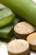 aloe vera plant with pills - herbal medicine aloe vera plant with pills - herbal medicine