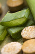 aloe vera plant with pills - herbal medicine aloe vera plant with pills - herbal medicine
