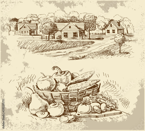 Vector: Village houses sketch with food Village houses sketch with food