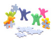 Puzzle team