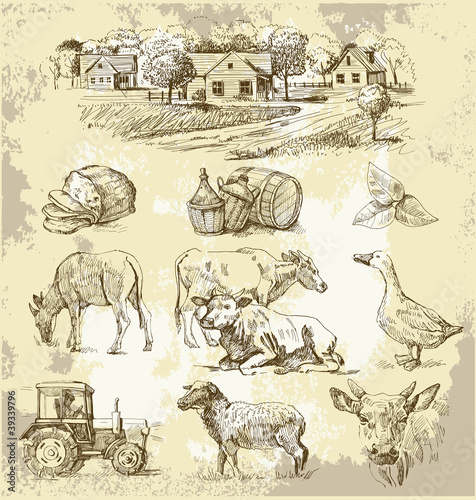 Vector: farm collection-handmade drawing farm collection-handmade drawing