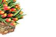 Tulip flowers in the wicked basket