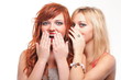 society gossip - two happy young girlfriends talking white backg