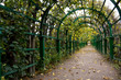 Autumn Pergola