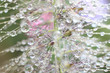 Tracery Of Water Droplets