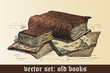 vector set: old books