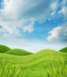 Spring meadows with fresh green grass and blue cloudy sky Spring meadows with fresh green grass and blue cloudy sky