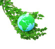 Hand - tree with the globe