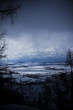 Winter land
