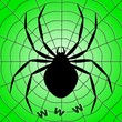 A silhouette of a spider on the web. Vector illustration. A silhouette of a spider on the web. Vector illustration.