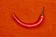 rote Chili Schote in Paprikapulver