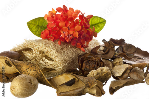 Photo: cleaning products of the body cleaning products of the body