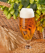 glass of beer