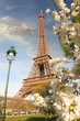 Photo: Eiffel Tower during spring time in Paris, France Eiffel Tower during spring time in Paris, France