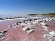 Spiral Jetty inner circles path