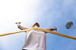 Photo: Winning athlete with cloud background Winning athlete with cloud background