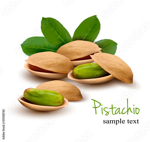 Vector: Pistachio with leaves. Vector Pistachio with leaves. Vector