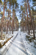 Winter road.