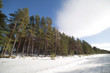 Winter road.