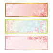 spring frame set
