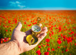Compass in a Hand / Discovery / Beautiful Day / Red Poppies in N