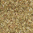 Oregano spice closeup