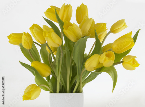 Foto: Yellow Tulips in vase. Yellow Tulips in vase.