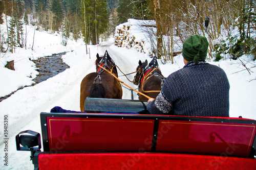 Foto: Pferdschlittenfahrt im Winter Pferdschlittenfahrt im Winter