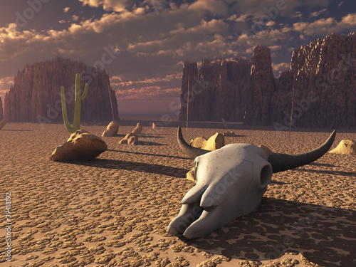 Illustration: Skull in desert Skull in desert