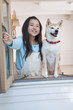 窓を開け空を見上げる柴犬と女の子