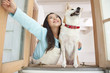 窓を開け空を見上げる柴犬と女の子