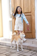 柴犬と散歩する女の子