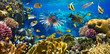 Coral colony and coral fish