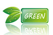 GREEN12