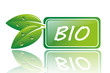 BIO12