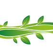 GREEN12