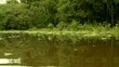 Amazonas Nebenfluß