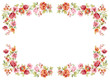 Color illustration of flowers in watercolor paintings
